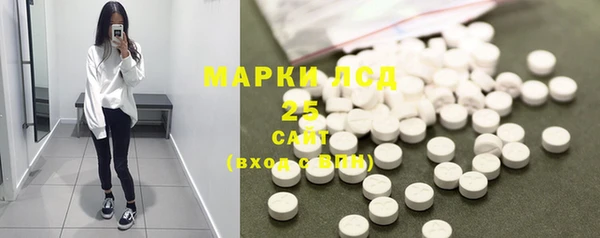 прущие грибы Алзамай