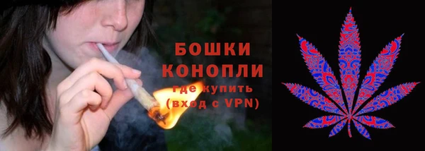 прущие грибы Алзамай