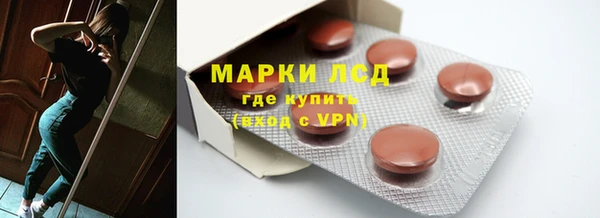прущие грибы Алзамай