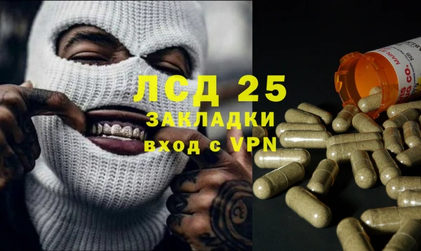 прущие грибы Алзамай