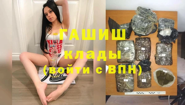 прущие грибы Алзамай