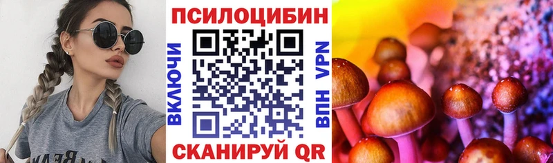 Псилоцибиновые грибы прущие грибы  купить закладку  MEGA ссылка  Усть-Илимск 